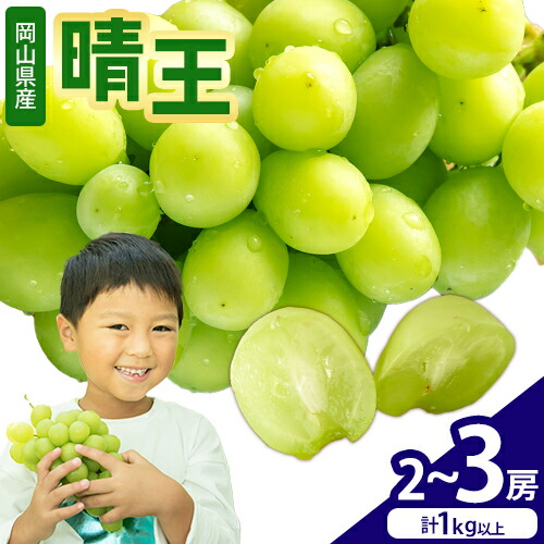 【2026年先行予約】 シャインマスカット【晴王】 岡山県産 2～3房(計1kg以上)株式会社Myself《2026年9月上旬-10月下旬頃出荷》マスカット 送料無料 岡山県 浅口市 ぶどう フルーツ 果物 贈り物 ギフト