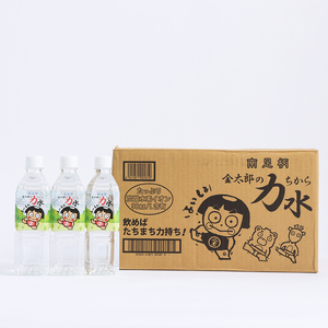 おためしAセット 南足柄 金太郎の力水 ラベルレス 500ml×48本（24本入×2箱）【 飲料水 天然水 ミネラル ウォーター 美味しい 水 お水 まとめ買い 災害 備蓄品 保存 神奈川県 南足柄市