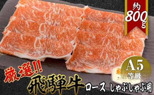 店主こだわり雌牛 飛騨牛A5等級　ロース　しゃぶしゃぶ用　約800g [No.067] ／ 牛肉 ブランド牛 鍋 メス牛 冷凍 岐阜県 特産