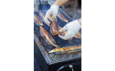 【四国一小さなまち】≪ヤマシン≫ ※ 冷凍 ※ 特選うなぎの蒲焼き　３尾