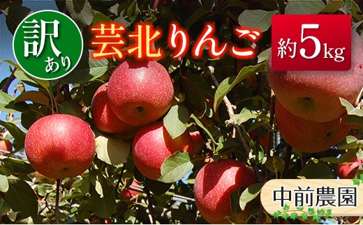 
                  ≪10月中旬以降発送≫りんご 訳あり ご家庭用 約5kg 中前農園の芸北りんご 農家直送 シナノスイート ぐんま名月 ジョナゴールド ふじ_NA099_002
                