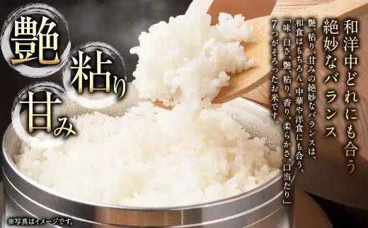 【 12回定期便 】〈 令和8年産 〉 浦臼産 ななつぼし 精白米 5kg お米 米 こめ コメ 白米 白飯 飯 ご飯 おにぎり ブランド米 ブランド 国産 北海道産 和食 定期 定期配送 【 202