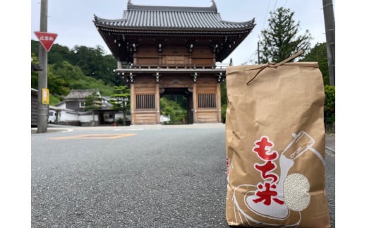 【令和7年産】先行予約 新米 農家直送！うまいもち米3㎏（精米） NE-03