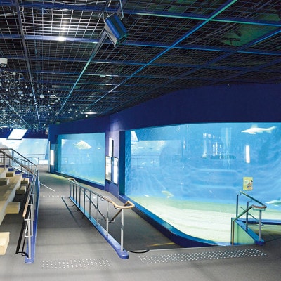 アクアワールド茨城県大洗水族館　貸切1時間プラン(オーシャンホールにイルカが遊びに来る)【配送不可地域：離島・沖縄県】