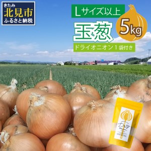 【予約：2024年10月中旬から順次発送】玉葱 5kg Lサイズ以上 北見ドライオニオン1袋付き ( 玉ねぎ たまねぎ ドライオニオン セット ふるさと納税 北見市 )【148-0004-2024】