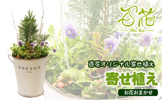 【ふるさと納税】花 寄せ植え おすすめ 完成品 ギフト 花器 百花オリジナルの寄せ植え（5000円分）プレゼント ガーデニング 季節 お花 お祝い 贈り物 誕生日 母の日 父の日 フラワー グリーン 観葉植物 記念日 結婚祝い 生花 春 夏 秋 冬 百花 -MoKa- 岩手県 滝沢市 送料無料