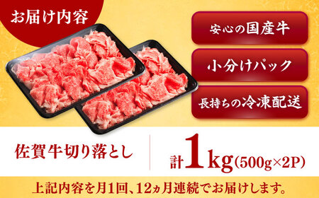 【レビューキャンペーン実施中】【全12回定期便】佐賀牛切り落とし 計12kg（500g×2P×12回）/ 佐賀県 / ヤマサン食品 [41ADAA007]