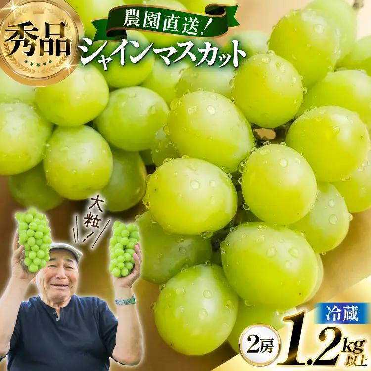 【期間限定発送】 シャインマスカット 秀 2房 1.2kg 以上 シャインマスカット