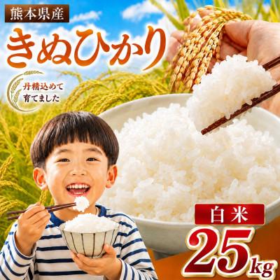 ふるさと納税 玉名市 【令和8年産】熊本県産 きぬひかり 白米 25kg