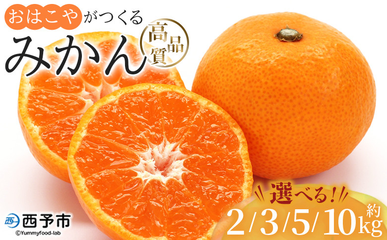 
            ＜おはこやがつくる 高品質みかん 約2kg/3kg/5kg/10kg（S～Lサイズ）＞ 果物 くだもの フルーツ 柑橘 みかん ミカン 蜜柑 まろやか 絶妙 特産品 西宇和 愛媛県 西予市
          