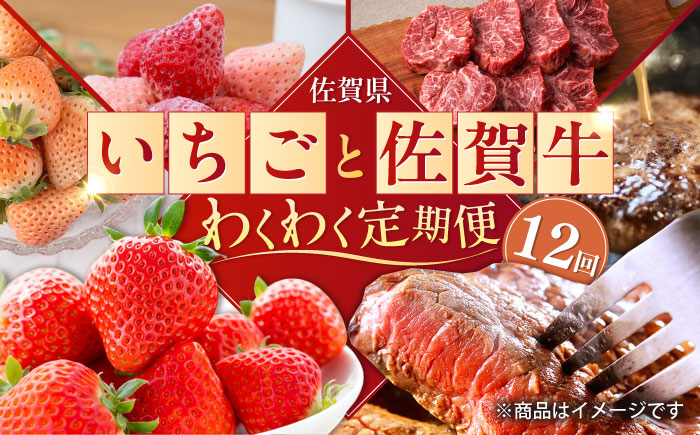 【全12回定期便】佐賀県の生産者を応援！いちごと佐賀牛のわくわく定期便 / ステーキ ハンバーグ 切り落とし / 佐賀県ふるさと納税 [41AAZZ010]