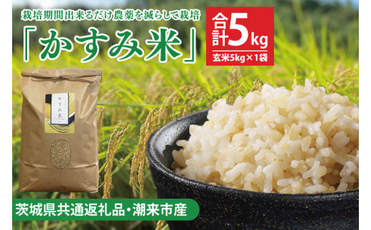 【茨城県共通返礼品・潮来市産】令和7年産米 栽培期間出来るだけ農薬を減らして作る「かすみ米」（コシヒカリ）玄米5kg 【 減農薬 こしひかり 米 お米 安心 安全 健康】（KBE-108）