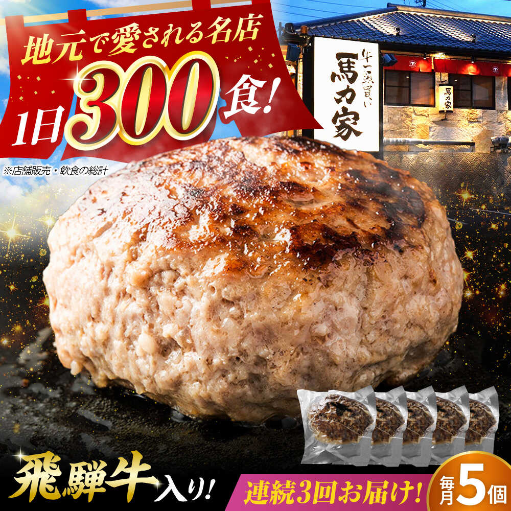 【ふるさと納税】【3回定期便】馬力家特製 超ハンバーグ 5個 / 肉 牛肉 ハンバーグ / 御嵩町 / 馬力家[AVBO066]