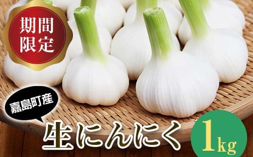 FK7-0179【先行予約】 生にんにく 1kg