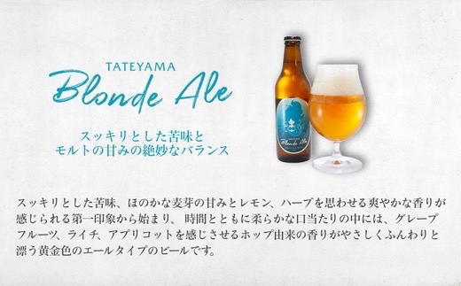 館山ブロンドエール 6本セット【配送不可地域：離島】【1578218】