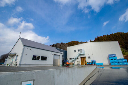 レンジでチンする焼き魚（さば塩焼き）2切入×4パック｜魚 グルメ 食べ物 惣菜 鮭  切り身 人気 おかず 魚介類 魚介