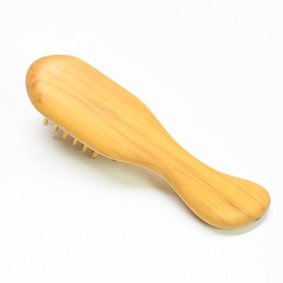 ふるさと納税 指宿市 【実用新案登録済】薩摩つげブラシ(ミニ5列)※約15.5cmとお手入れセット(IB004-010) |  | 01