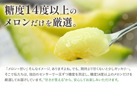 メロン 七城メロン Green＆Gold セット 肥後グリーン 1玉 キンショーメロン 2玉 ～ 3玉 2種類 MOTOYAMA358FARM 《2026年5月中旬-6月下旬頃出荷》 熊本県 菊池市 