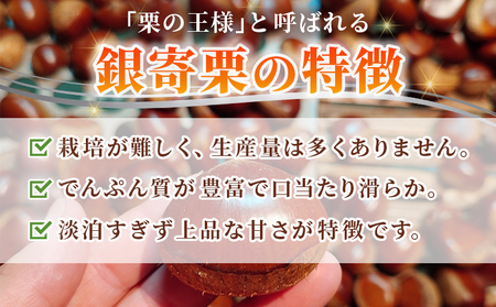 ＜栗の王様 銀寄栗（生栗）2L（約1kg）＞ 銀寄 ぎんよせ 甘い 生栗 和栗 マロン 栗 くり 栗ごはん 栗きんとん 甘露煮 旬 国産 産地直送 城川ファクトリー 愛媛県 西予市【冷蔵】『2026年