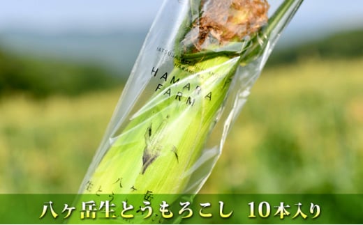 2025年産 生で食べられる極上の八ヶ岳生とうもろこし10本入り約3.5kg