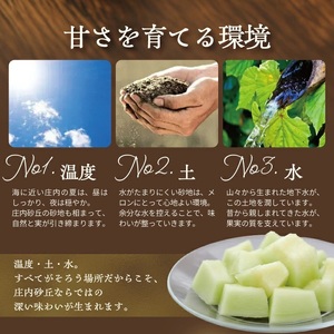SA2890　特大庄内砂丘メロン(青肉) 2.2～2.5kg 1玉 つる付き