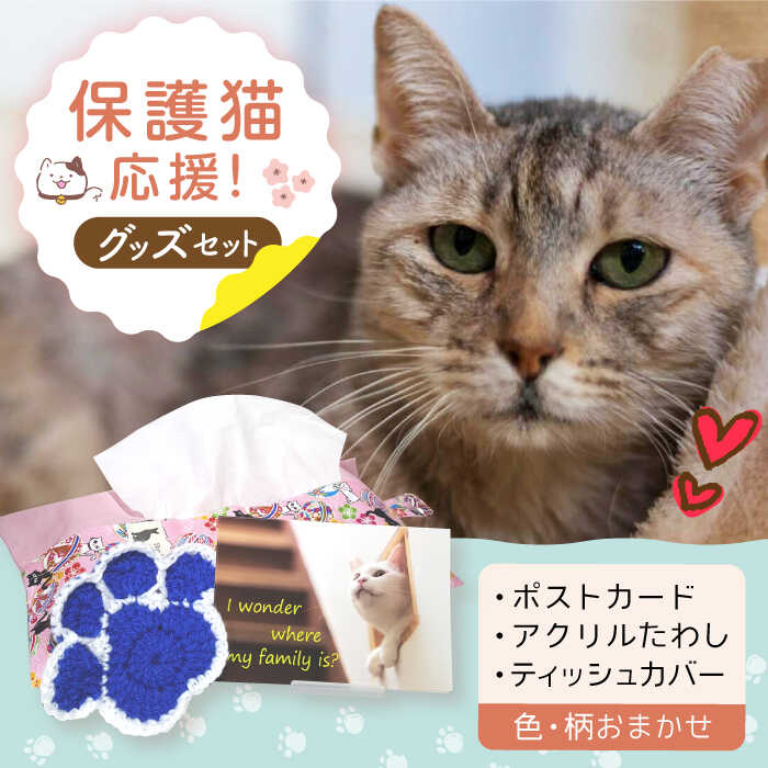【ふるさと納税】【保護猫応援!】グッズ3点セット ティッシュカバー・オリジナルポストカード・手作りアクリルたわし 猫 ねこ ネコ 保護 支援 動物愛護 大阪府高槻市/高槻ねこの会・ねこのおうち[AOBR009]