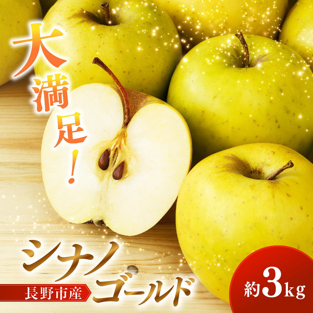 【ふるさと納税】シナノゴールド3kg | シナノゴールド りんご フルーツ 果物 林檎 リンゴ アップル くだもの 人気 おすすめ ギフト プレゼント 送料無料 長野県 長野市 信州 信濃 ふるさと納税