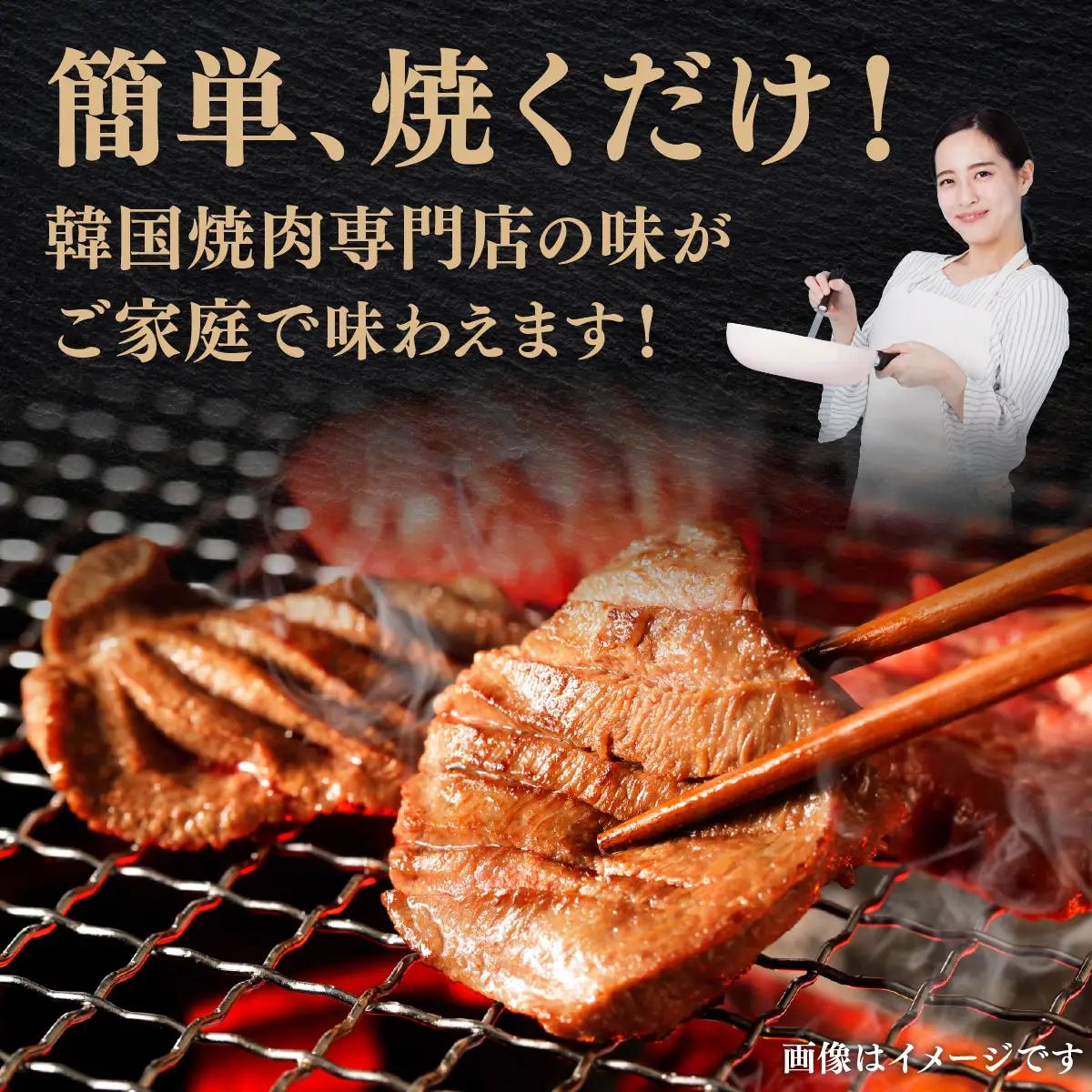 訳あり 牛タン 250g×2パック 焼肉タレ漬け【6ヶ月定期便】[058-t06-a035]