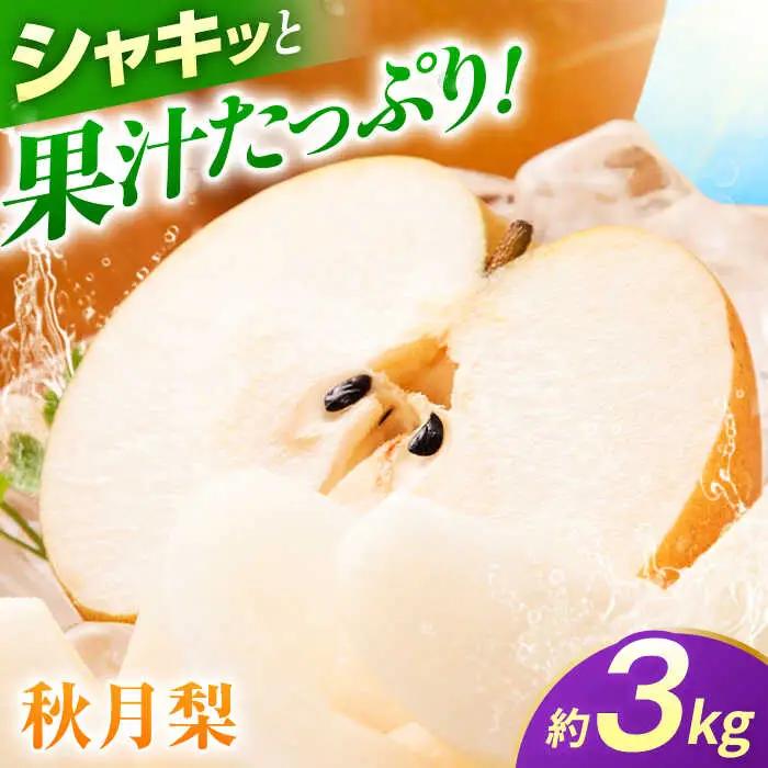 【先行予約】秋月梨　約3kg 梨 ナシ フルーツ 果物 【日本フルーツ株式会社】[ZFJ062]