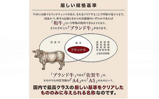 佐賀牛 サイコロステーキ 【 佐賀牛 サイコロステーキ コロコロステーキ サイコロ コロコロ ステーキ 】※画像はイメージです