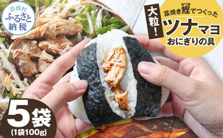 鰹ツナパウチ 100g×5袋セット 高知県土佐市 【企業組合　宇佐もん工房】 [BQAB064]