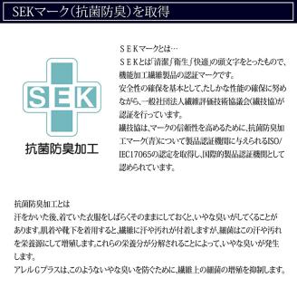 【ando more】日本製ダウンクッション（50×50㎝）　36-24