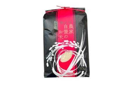 【令和7年産】獅子米 コシヒカリ 玄米 10kg 岡田ファーム コンテスト受賞米 お米 米 おこめ ブランド米 こしひかり 10キロ 国産 単一原料米 コメ こめ ご飯 銘柄米 茨城県産 茨城 産直