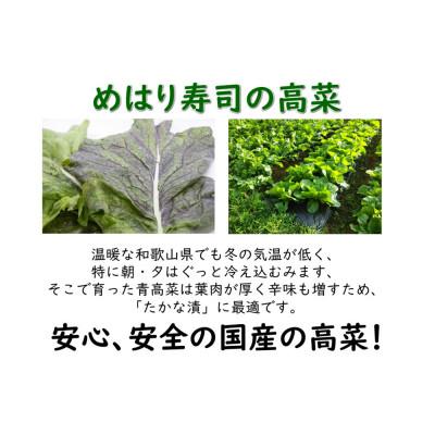 ふるさと納税 和歌山市 太田商店のめはり高菜漬け 180g×8袋入 |  | 01