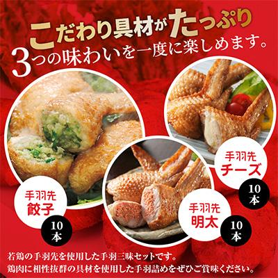 ふるさと納税 宮崎市 【宮崎製造】手羽三昧3種セット(手羽先餃子・手羽先明太・手羽先チーズ、各10本入り) |  | 02