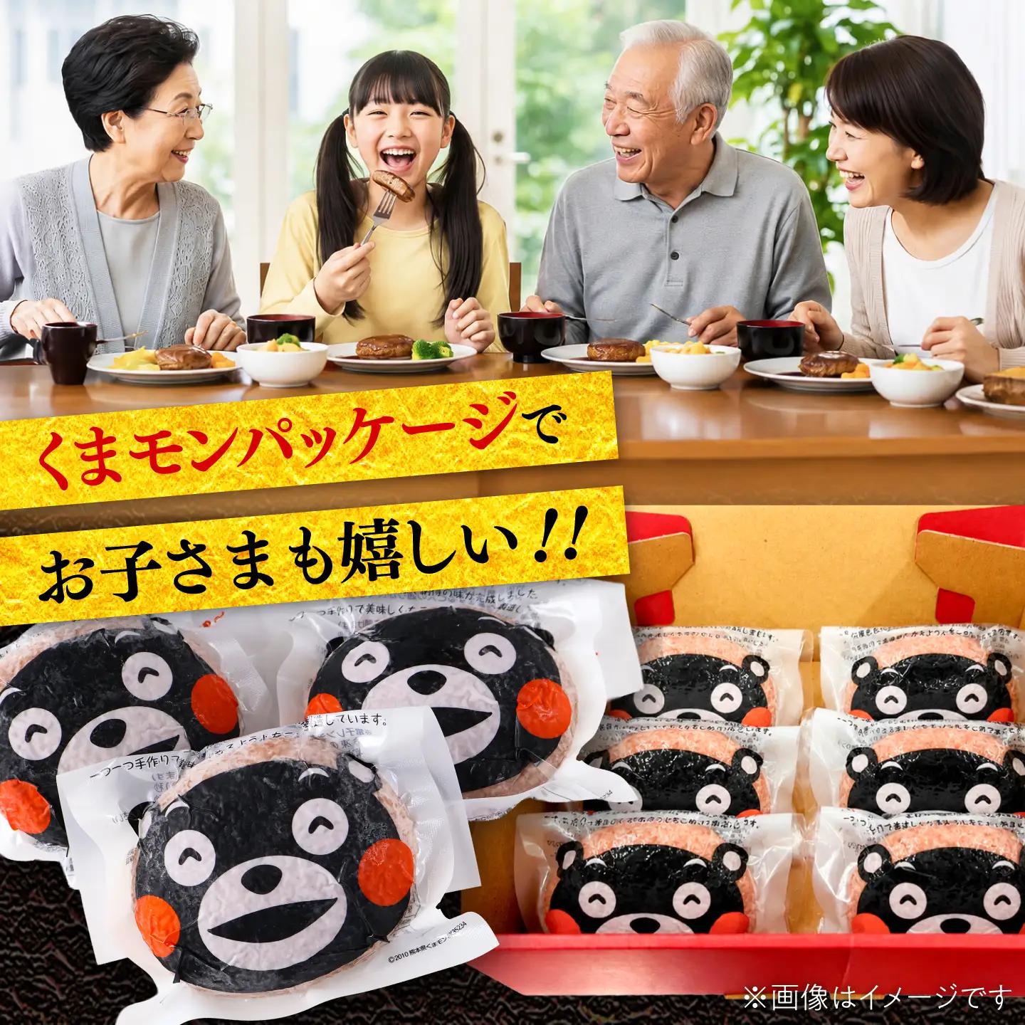 12回定期便 くまモン ハンバーグ セット（あか牛100％使用）BHAS059 ハンバーグ