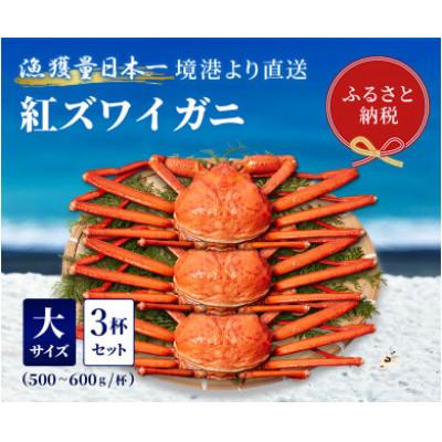 ふるさと納税 智頭町 【蟹セレブ】ズワイガニ(紅ズワイガニ)大3杯セット(500〜600g×3)
