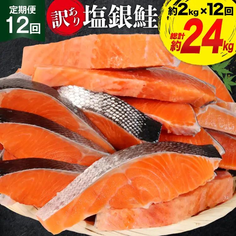 定期便 《12ヶ月連続お届け》 訳あり 銀鮭 切身 約2kg×12回 計24kg 