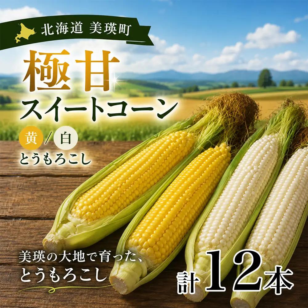 とうもろこし 12本 【先行予約】 白 黄 各6本 令和8年産