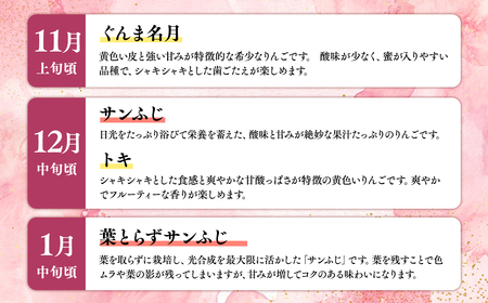 ≪2026年8月下旬頃より発送≫青森県産 訳あり家庭用りんご 6か月定期便 約3kg【青森県 平川市 なるみ農園】家庭用 訳アリ 青森 青森県産 平川 りんご リンゴ 林檎 くだもの 果物 フルーツ 