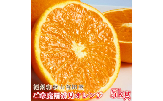 
            【ご家庭用訳あり】紀州有田産清見オレンジ 約5kg【2025年3月下旬以降発送】【先行予約】【UT132】
          
