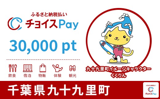 
            九十九里町チョイスPay 30,000pt【会員限定のお礼の品】
          