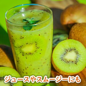 家庭用 キウイフルーツ ヘイワード 約1.5kg 愛媛県産 【12 月上旬~2 月下旬発送】 【MCF017】