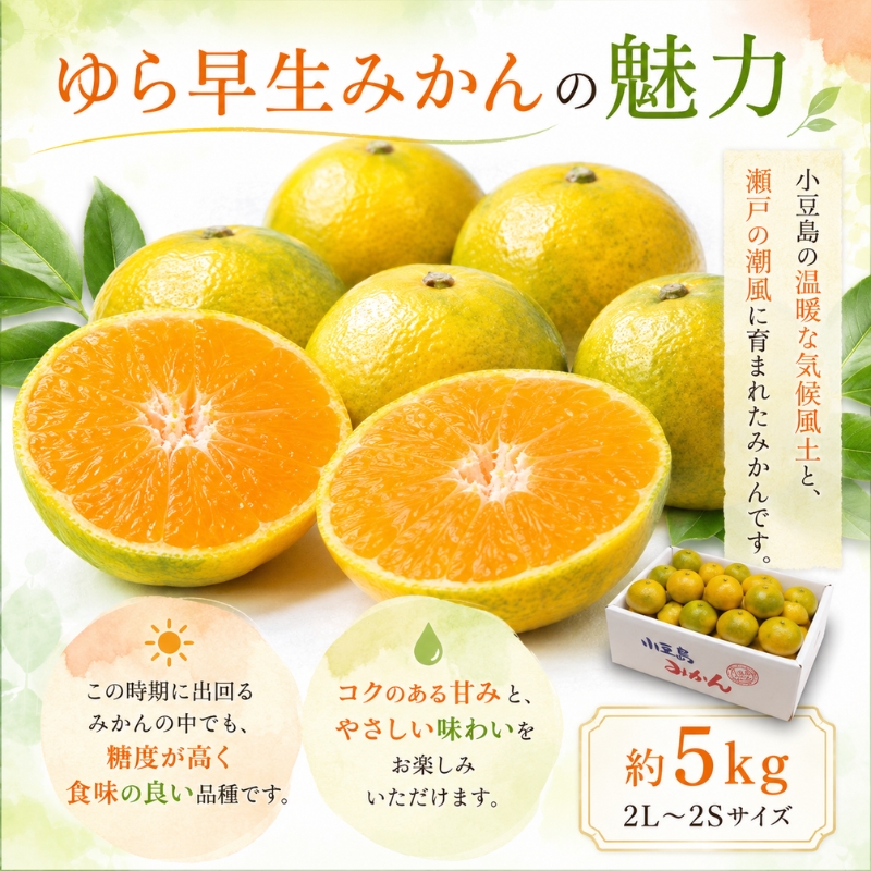 【 小豆島 】小豆島 ゆら早生みかん 約5kg みかん 蜜柑 ミカン ゆら早生 フルーツ 果物 くだもの 国産 香川 香川県 土庄 土庄町