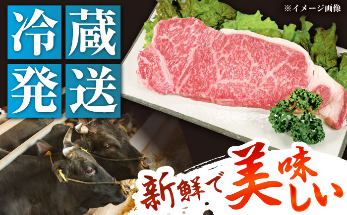 【チルド（冷蔵）発送！】 「飛騨牛」 A5等級 サーロインステーキ 200g×2枚 / 牛肉 焼肉 鉄板焼き 網焼き BBQ / 恵那市 / 東美濃農業協同組合 [AUFX011]