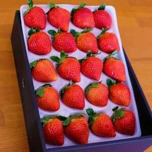 いちご いちごの王様 あまおう 2L 20粒 化粧箱入り イチゴ 苺 果物 デザート ベリー畑 福田ファーム ※配送不可:沖縄、離島