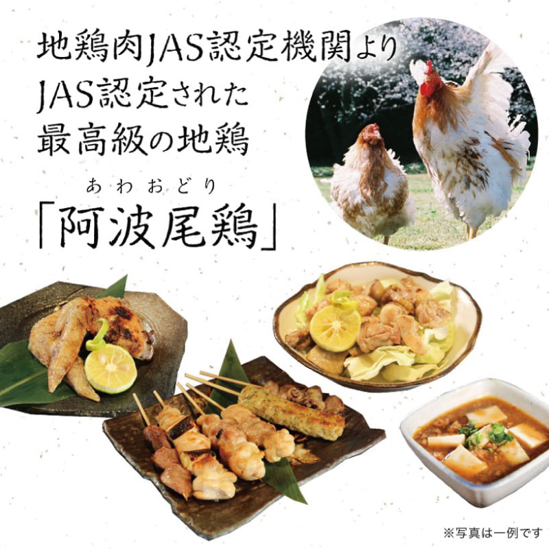 骨付き鳥 1本 《 贅沢に 阿波尾鶏 使用！》 骨付鳥 骨付き鶏 鶏肉 阿波尾鶏 もも肉 肉 スパイス ブレンド 味付き 温めるだけ おかず 徳島