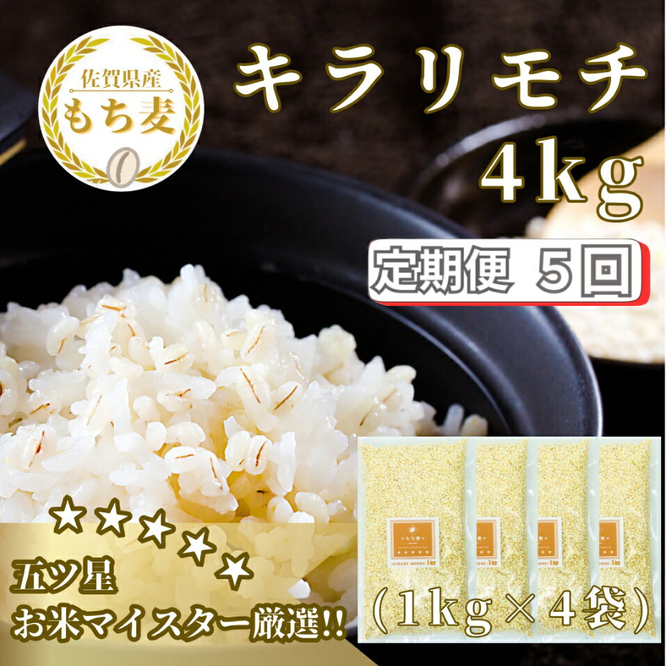 【ふるさと納税】【5回定期便】キラリモチ4kg もち麦 キラリ もち麦ごはん（CIB35）