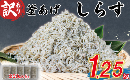 訳あり しらす 約1.25kg 訳あり 不揃い しらす干し ごはんのお供 おつまみ 便利 しらす丼 グルメ 食品 魚 海鮮 シラス 愛媛県 松山市 （ しらす 訳あり しらす 訳あり しらす 訳あり 