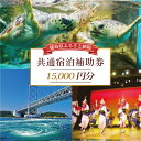 【ふるさと納税】 共通宿泊補助券 15,000円分 温泉 観光 旅行 ホテル 旅館 クーポン チケット 宿泊券 旅行券 宿泊 トラベルクーポン トラベル 徳島